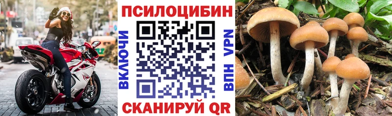 кракен как войти  наркотики  Юрга  Псилоцибиновые грибы Psilocybe 