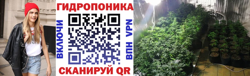 купить  сайты  Юрга  Шишки марихуана SATIVA & INDICA 